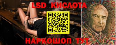 шишки Кингисепп