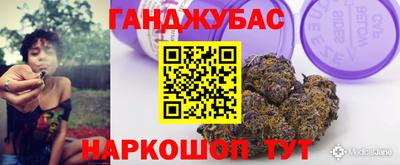 шишки Кингисепп