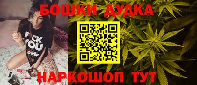 шишки Кингисепп