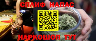 шишки Кингисепп