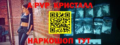 шишки Кингисепп