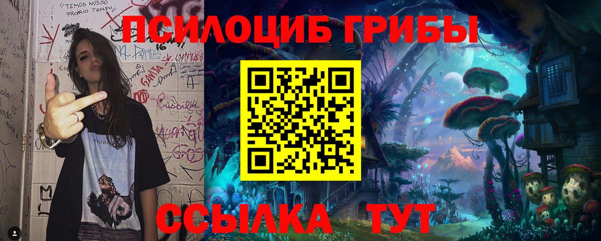 Псилоцибиновые грибы Magic Shrooms  Вход с VPN  Карталы 